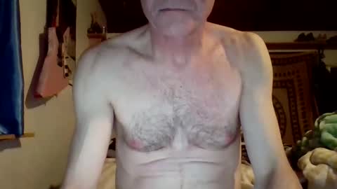 Snapshot of steviehard7 chatting on March 2025 04:56:01 AM steviehard7 online show from March 2025 04:56:01 AM