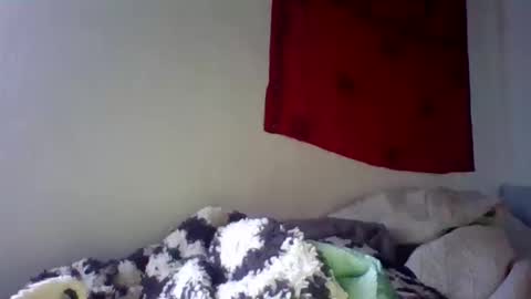 Snapshot of steviehard7 chatting on October 2025 07:23:01 PM steviehard7 online show from October 2025 07:23:01 PM