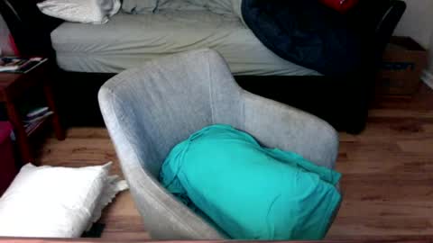Snapshot of steviejla chatting on July 2026 07:43:01 PM steviejla online show from July 2026 07:43:01 PM