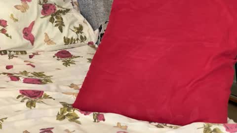 Chris online show from October 2025 08:37:01 AM