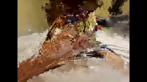 Snapshot of stittymike chatting on December 2024 05:27:02 AM stittymike online show from December 2024 05:27:02 AM