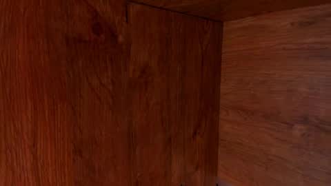 Stone Lee  online show from February 2025 09:55:02 AM