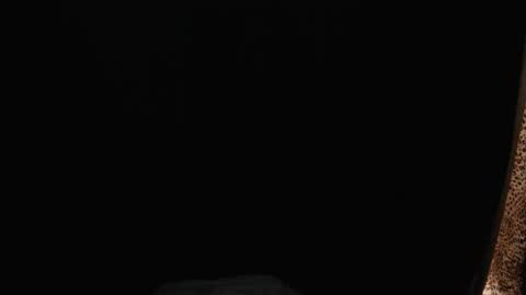 stonenipple online show from November 2025 06:47:02 AM