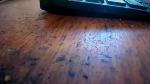 Snapshot of stonerdad312 chatting on April 2026 06:46:02 PM Stoner Dad online show from April 2026 06:46:02 PM