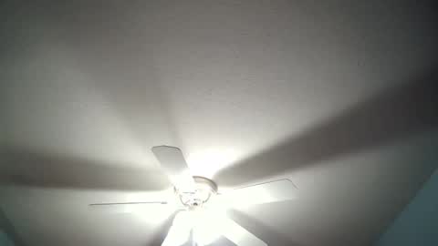 str8whiteboy21 online show from December 2024 04:34:02 AM