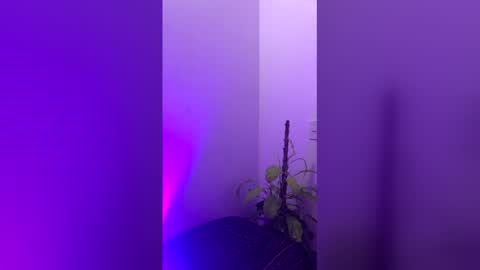 straight_boys_hornys online show from December 2025 11:50:01 AM