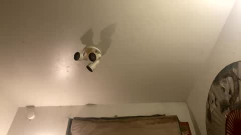 Snapshot of strangestag chatting on September 2025 07:46:02 AM Stag online show from September 2025 07:46:02 AM