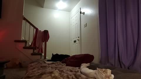 Snapshot of strawberrylotsacake chatting on September 2025 05:31:01 AM Strawberrylotsacake online show from September 2025 05:31:01 AM