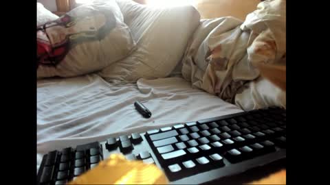 Snapshot of strawboy300 chatting on January 2025 07:38:01 PM strawboy300 online show from January 2025 07:38:01 PM