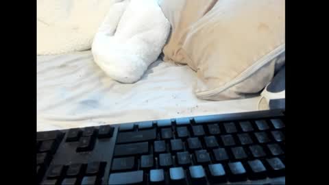 Snapshot of strawboy300 chatting on January 2025 08:45:01 PM strawboy300 online show from January 2025 08:45:01 PM