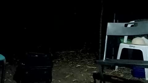 Bigdickdugan online show from February 2025 01:06:01 PM