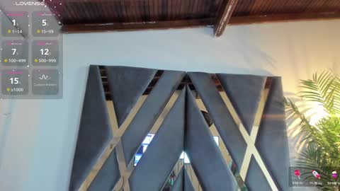 Alexa   online show from January 2025 11:04:02 AM