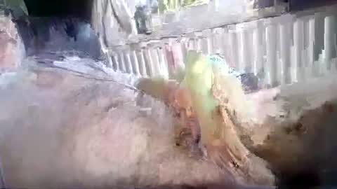 Snapshot of stud_1975 chatting on July 2026 12:31:01 PM stud_1975 online show from July 2026 12:31:01 PM