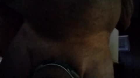 Snapshot of stuffamuffagus69 chatting on November 2025 01:00:01 AM stuffamuffagus69 online show from November 2025 01:00:01 AM