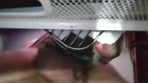 Snapshot of stuffamuffagus69 chatting on November 2025 01:11:01 AM stuffamuffagus69 online show from November 2025 01:11:01 AM