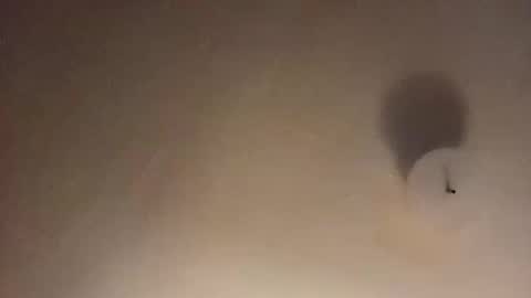 suckfucksuck69 online show from December 2024 10:14:01 AM