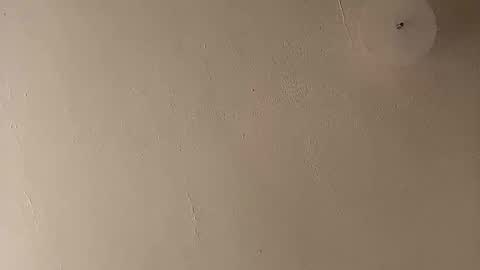 suckfucksuck69 online show from December 2024 01:17:01 PM