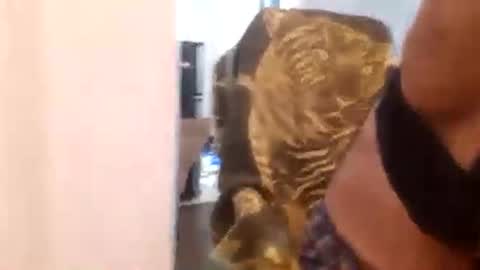 Snapshot of suckledeep chatting on December 2024 01:34:02 AM Cuteipie online show from December 2024 01:34:02 AM