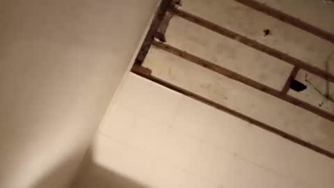 suckmeplease70 online show from November 2025 07:55:02 AM