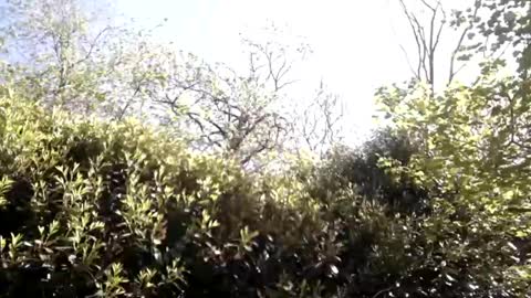 Snapshot of sucrette5629 chatting on April 2026 01:14:02 PM sucrette5629 online show from April 2026 01:14:02 PM