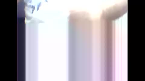 suleyman38 online show from February 2025 12:16:02 PM