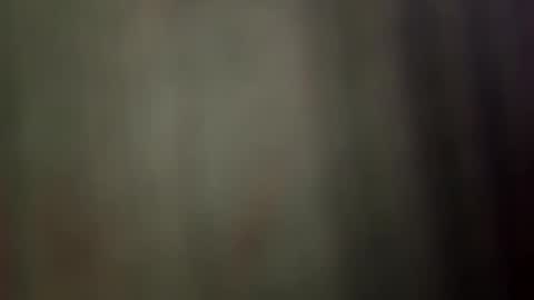 Snapshot of sulyrouse chatting on April 2026 04:43:02 AM suly online show from April 2026 04:43:02 AM