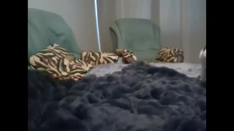 suni online show from March 2025 05:08:01 AM