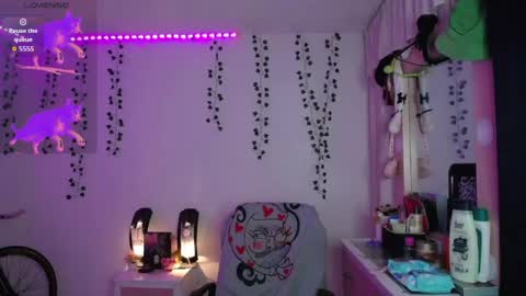 Sunset online show from April 2026 04:39:02 AM