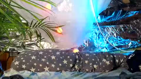 super jony and Marta GMT 1300-1800 every day online show from October 2025 09:51:01 AM