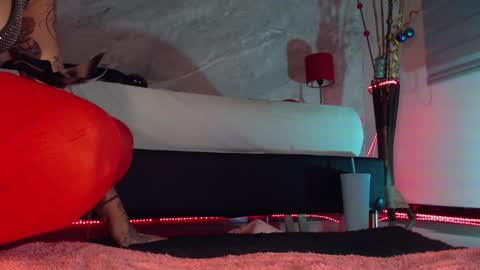 Snapshot of susan_hottie_ chatting on December 2024 10:54:02 PM    online show from December 2024 10:54:02 PM