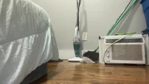 Snapshot of suzzy_q chatting on March 2025 12:48:01 AM Just E F3M B0i online show from March 2025 12:48:01 AM