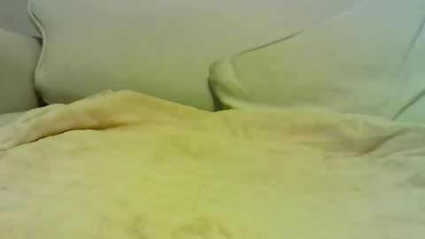 Peter online show from January 2026 07:04:01 PM