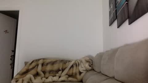 ALBA online show from November 2025 05:44:02 PM