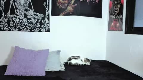 Snapshot of sweet__natashaa chatting on April 2026 09:49:02 PM Natasha independent modelo online show from April 2026 09:49:02 PM