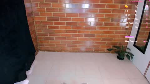 Stephanie online show from February 2025 02:27:01 PM