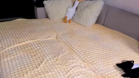 Alice online show from November 2025 03:52:02 PM