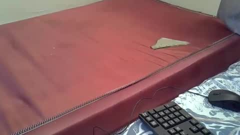 Edah online show from May 2026 02:14:01 PM
