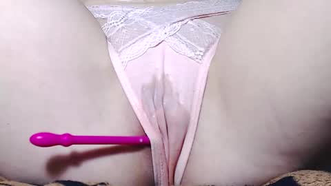 Kitten online show from March 2025 09:13:02 AM