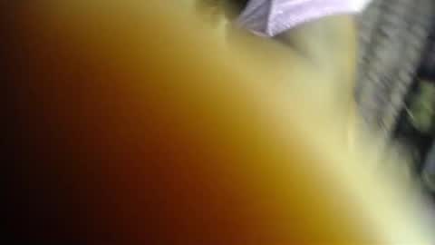 Snapshot of sweet_kush chatting on June 2026 05:15:01 AM Kush online show from June 2026 05:15:01 AM