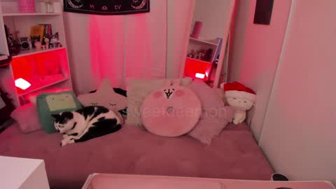 Snapshot of sweetdeemon chatting on December 2024 03:50:02 AM Vernica Help me to reach 80 likes thank you online show from December 2024 03:50:02 AM