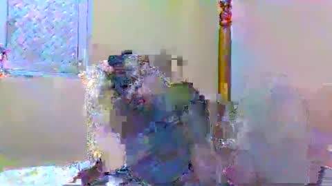 Snapshot of sweetib1 chatting on January 2025 05:05:02 PM sweetib1 online show from January 2025 05:05:02 PM