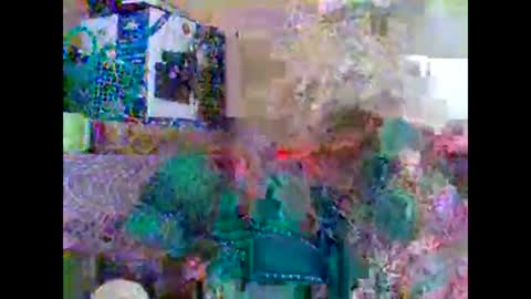 Snapshot of sweetib1 chatting on February 2025 09:32:02 AM sweetib1 online show from February 2025 09:32:02 AM