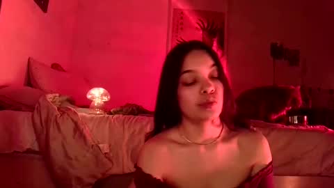 Snapshot of sweetieslikebutter chatting on December 2024 04:56:02 AM Blu Sweets online show from December 2024 04:56:02 AM