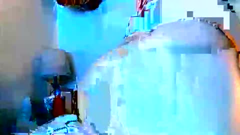 sweetnpetitejennij online show from June 2026 05:53:01 AM