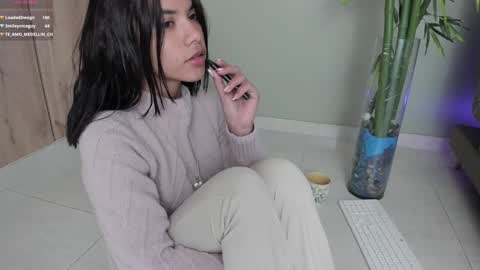    online show from January 2025 12:06:02 AM