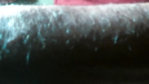Snapshot of swizzle__stick chatting on April 2026 09:57:02 AM will jeffers online show from April 2026 09:57:02 AM