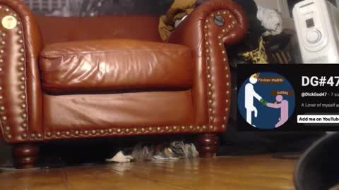 The DickGod online show from December 2025 06:46:02 PM