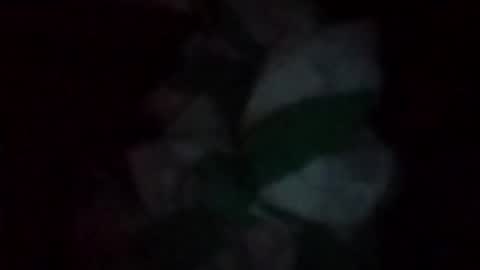 swollpole2112 online show from May 2026 06:32:03 AM