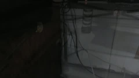 sxulx2c online show from December 2024 06:24:02 AM