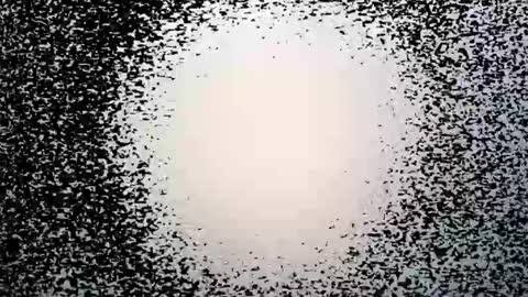 subfordomme online show from March 2026 09:25:01 PM